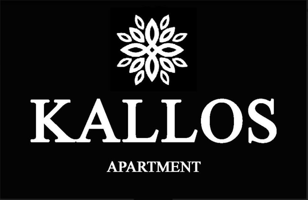 Κάλλος-Kallos Apartment Mețovo Exterior foto